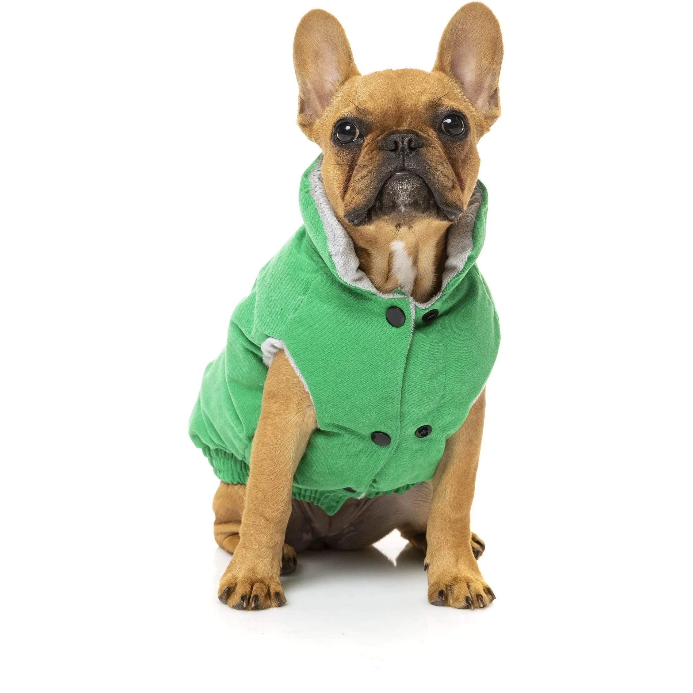 Ashbury Dog Jacket - Green