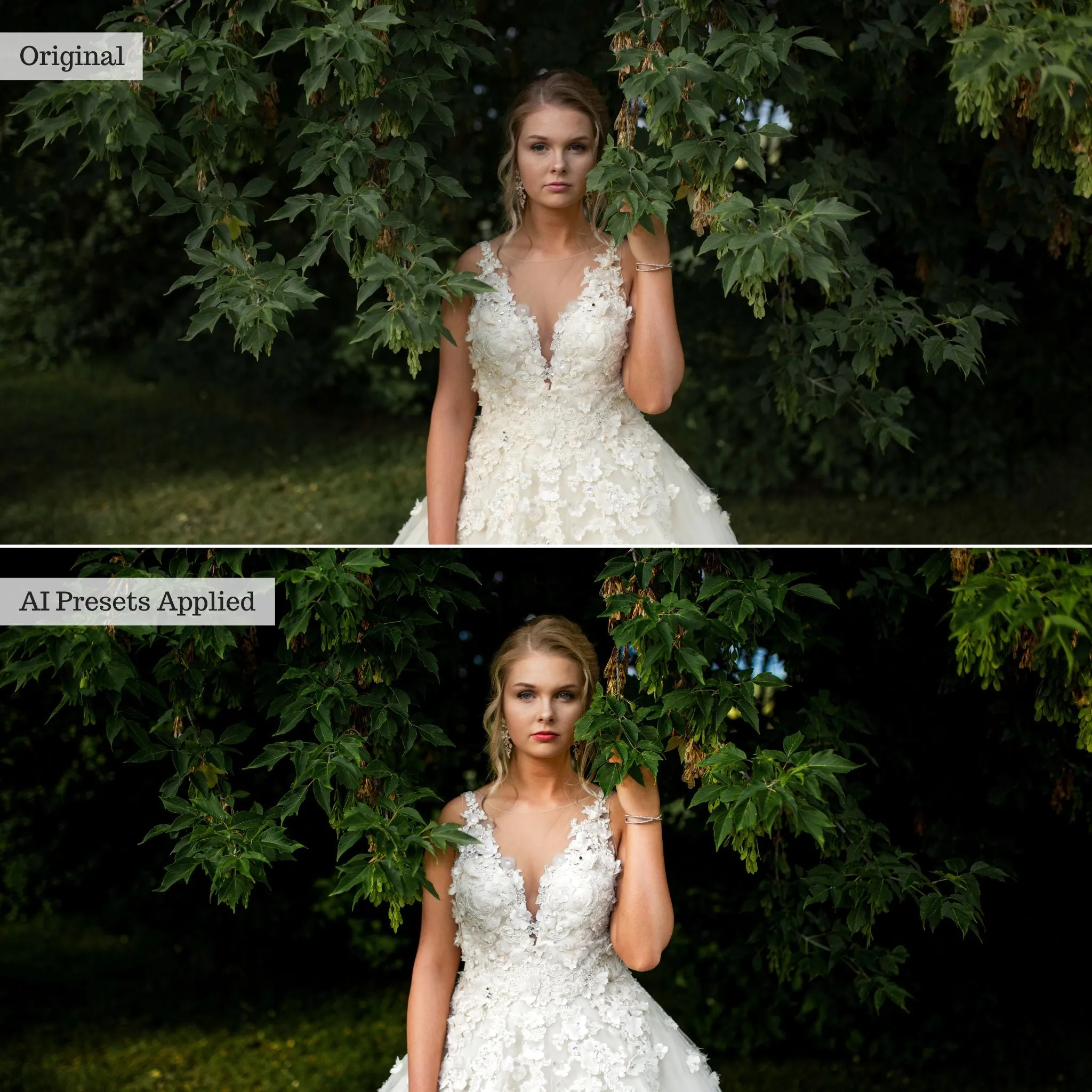 Luxe Wedding Pro Artificial Intelligence (AI) Retouch Toolkit Lightroom Presets – Desktop