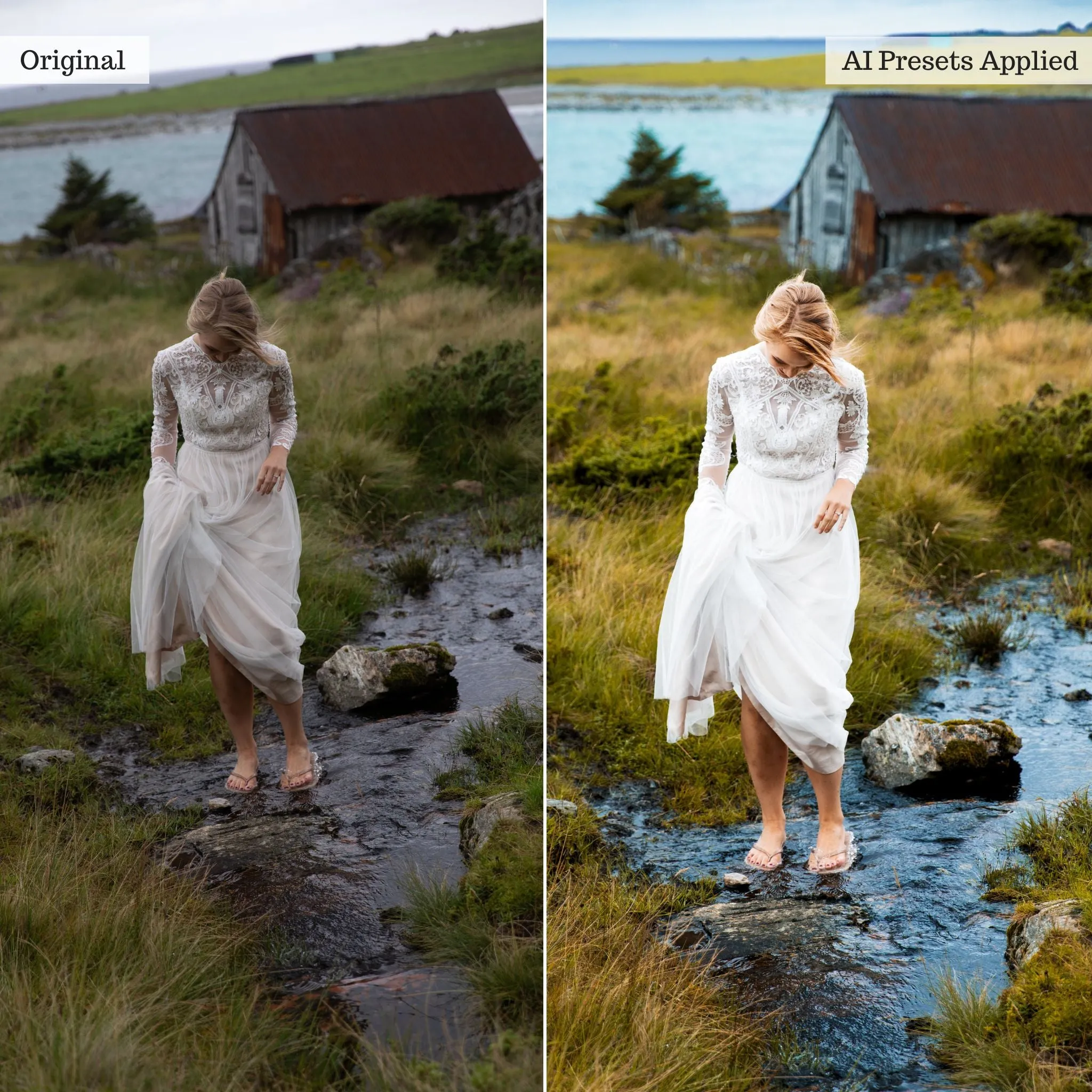 Luxe Wedding Pro Artificial Intelligence (AI) Retouch Toolkit Lightroom Presets – Desktop